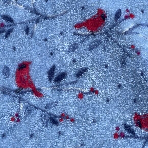 PinkK Womens Sweater Plus Size 2X Fleece Cardinal Bird Nature V-neck Soft - Picture 4 of 11